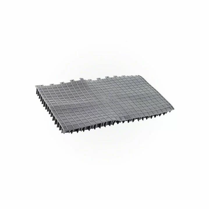 Image for Роликові щітки для пилососу Hayward TigerShark RCX26008