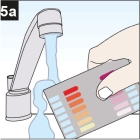 5a