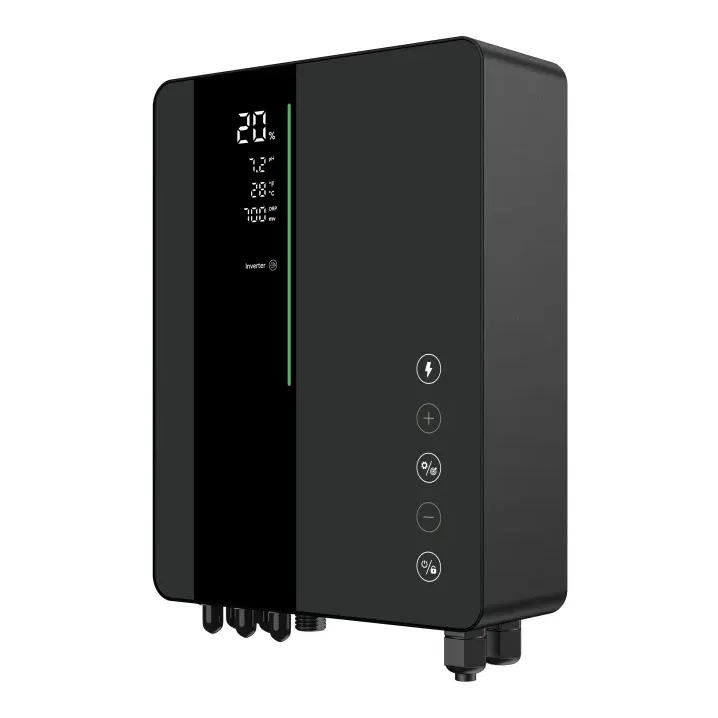 Хлоргенератор InverClear ICS 22 (100 м³, 22 г/год)